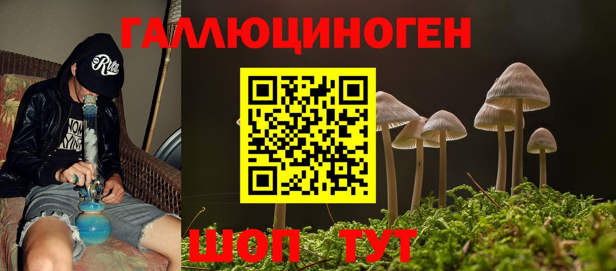Псилоцибиновые грибы GOLDEN TEACHER  Вход с VPN  Псилоцибиновые грибы мухоморы  Зеленодольск 